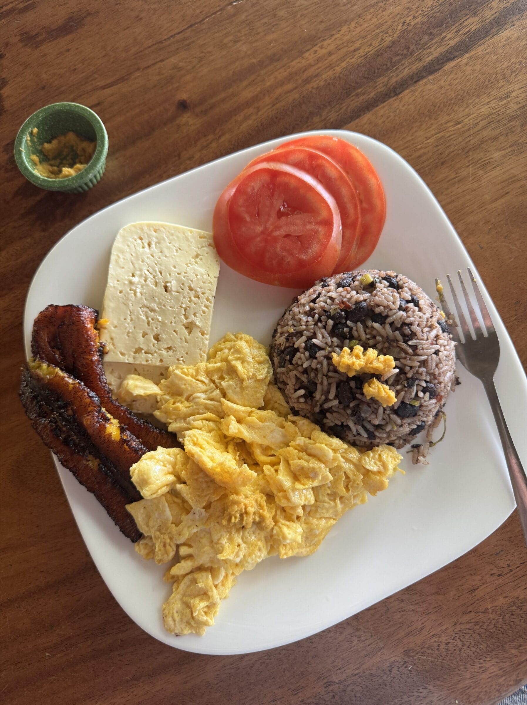 Costa Rican food