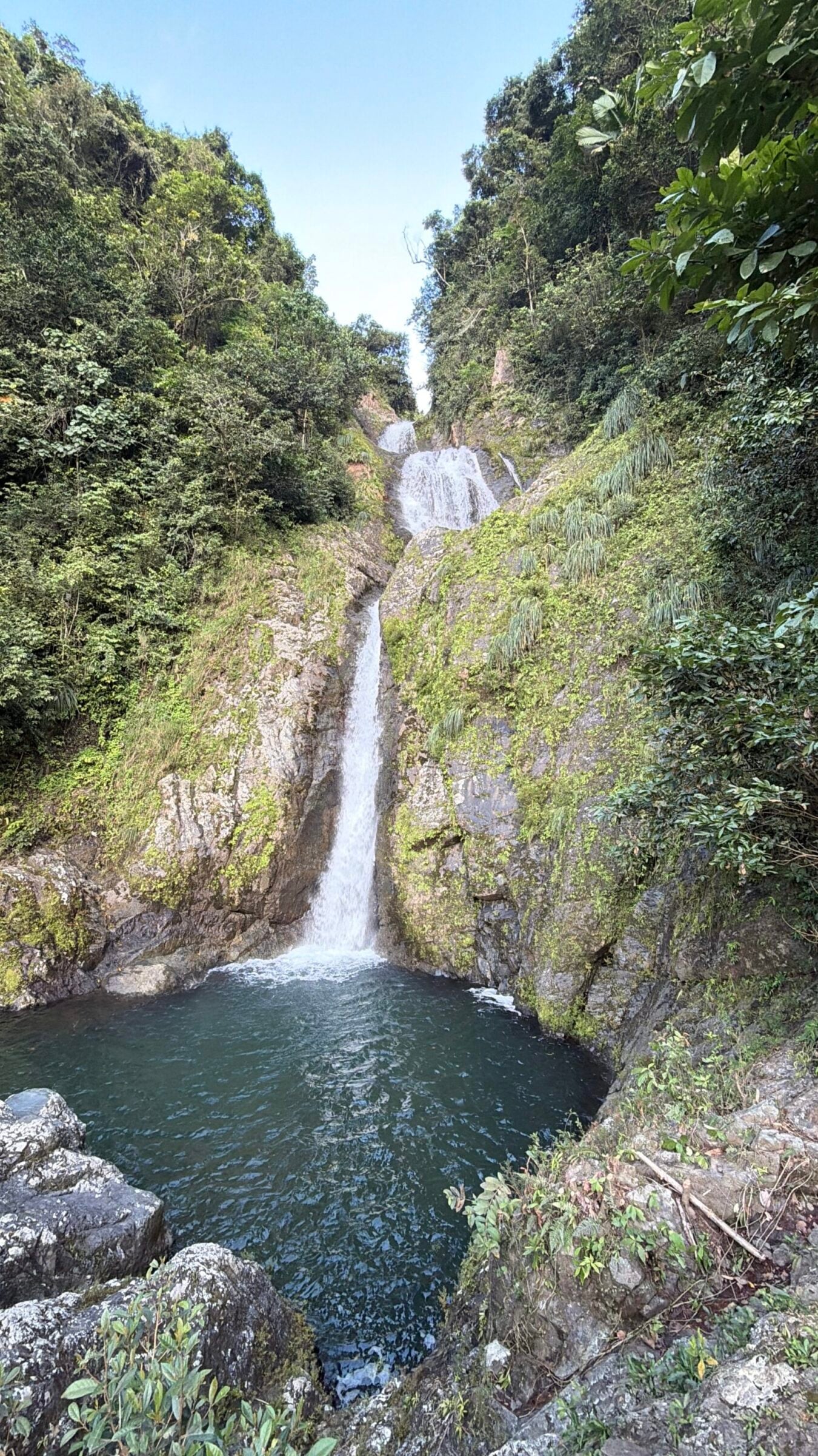 Choro Doña Juana