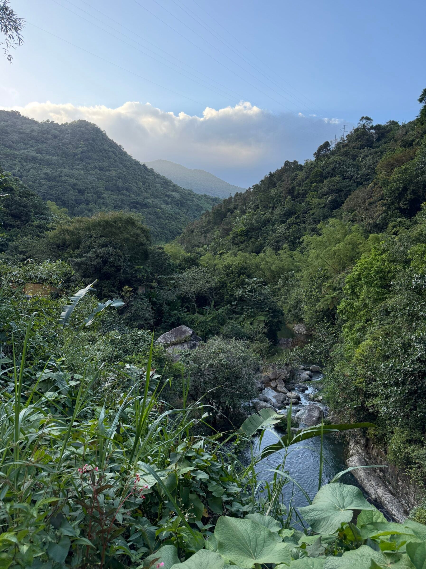 Scenes from Jayuya
